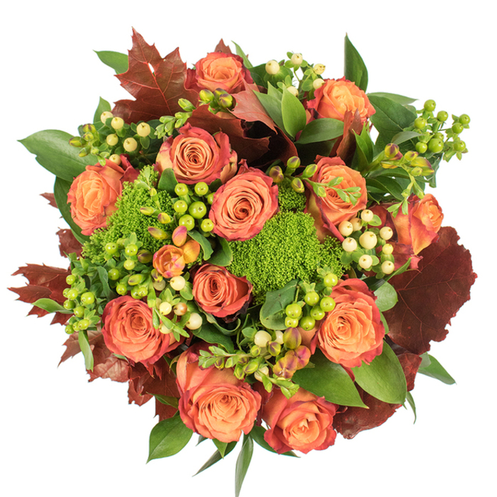 Presented in a circular, top-down composition on a pristine white background, this bouquet reads like a small harvest festival captured in blooms. Prominent, bicoloured roses dominate the centre: their cores glow with soft peach and apricot, while outer petals deepen into coral, orange and a hint of reddish-rust, producing a gentle ombré that mirrors autumn leaves. Nestled among those generous roses are clumps of green trick dianthus-decorative, fuzzy spheres that resemble miniature moss tufts and contribute an engaging, tactile density. Sprays of Hypericum berries appear in two tones, lemon-cream and vivid lime, their glossy beads creating tiny, bright focal points across the arrangement. Rich, glossy green foliage forms the supporting bed, and broader lobed leaves in deep burgundy and burnished brown are tucked through the design to reinforce the seasonal narrative and add moments of dramatic contrast. The craftsmanship is deliberate: stems are placed to maintain a balanced circumference, textures alternate between velvety petals, smooth berries and feathery green mounds, and the overall silhouette remains compact and generous. Soft, diffuse overhead lighting reveals subtle surface textures-the velour of rose petals, the sheen on berries, the slightly papery edges of the autumn leaves-while producing gentle shadows that enhance depth. The bouquet evokes warmth and gratitude, suitable for Thanksgiving, a housewarming in the Sutton area, or a heartfelt gift brought to a local supper table. One can imagine this arrangement brightening a mantlepiece in a Cheam home as daylight slants through the window and the scent of roses mingles with a hint of woodland earth.