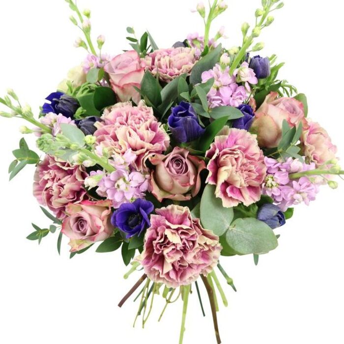 Against a crisp white backdrop, this generous hand-tied bouquet appears as a carefully balanced composition, much like those created daily by Cheam Flowers for local deliveries around the village. At the focal point, lush garden roses open in romantic shades of blush pink, dusty rose, and soft mauve, their many layered petals spiralling outwards with a classic, almost vintage charm. Around them, abundant ruffled carnations contribute volume and texture; their petals show a subtle ombré, drifting from creamy beige and pale blush at the centres to richer rose and plum at the edges, giving each flower a softly painted look. Weaving through these warm pink tones are bursts of cool intensity: deep indigo and royal blue blooms, including an open anemone with a dark, velvety centre and several slender, tulip-like buds, create pockets of dramatic contrast that immediately catch the eye. Pale lilac and lavender stock emerge on slender stems, their clusters of tiny blossoms forming vertical lines that add lightness and a sense of gentle movement, as if caught in a faint breeze. The bouquet is encased in lush greenery, combining dark, glossy leaves with those distinctive silvery-green eucalyptus rounds that introduce both visual softness and a suggestion of refreshing, aromatic scent. At the base, the stems are gathered neatly in the traditional hand-tied style, ready to slip into a favourite vase after being delivered to a Cheam doorstep, whether near the historic heart of the village or in the quieter residential streets leading towards Sutton. The overall mood is sophisticated yet inviting, making this arrangement perfect for wedding anniversaries, special birthday surprises, or simply bringing a touch of garden-inspired elegance into a Cheam home or office.