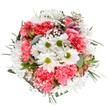 This lush Cheam bouquet is a celebration of both tradition and contemporary style, expertly crafted to reflect the gentle joy and renewal woven throughout the local landscape. Radiant white daisies with cheerful green-yellow centers emerge from a plush profusion of coral-pink carnations, their softly ruffled petals catching the light in exquisite detail. Between them, delicate clouds of gypsophila lend the airiness of an English morning, their tiny white stars reminiscent of the subtle beauty found in Cheam's pocket parks. Subtle alstroemeria buds, tinged with pink and violet above slender stems, hint at future blossoms and quiet optimism. Silvery eucalyptus leaves provide a cool, matte backdrop, entwined with deep, glossy greenery that frames the arrangement in elegant curves, echoing the tranquility of Nonsuch Park's leafy borders. Bathed in soft, even illumination and set against a spotless background, this bouquet is alive with thoughtful craftsmanship and emotional resonance. Ideal for milestone occasions, acts of kindness, or simply adding warmth to a home near Ewell Road, it radiates peaceful exuberance and the heartfelt artistry of a Cheam florist.